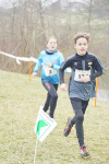 OA Cross