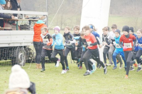 OA Cross