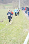 OA Cross