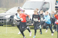 OA Cross
