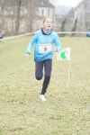 OA Cross