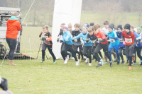 OA Cross