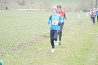 OA Cross