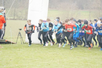 OA Cross
