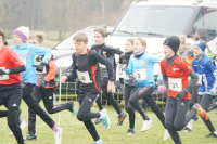 OA Cross