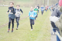 OA Cross