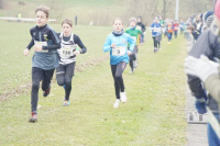 OA Cross