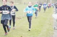 OA Cross