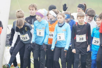 OA Cross