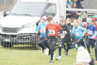 OA Cross