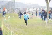 OA Cross