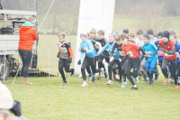 OA Cross