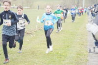 OA Cross