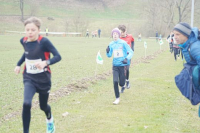 OA Cross