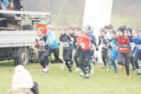 OA Cross