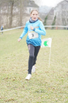 OA Cross