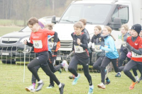 OA Cross