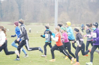 OA Cross