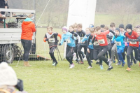 OA Cross