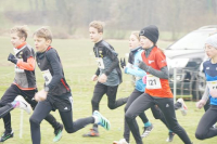 OA Cross