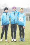 OA Cross
