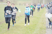 OA Cross