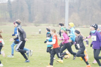 OA Cross