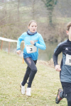 OA Cross