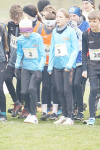 OA Cross