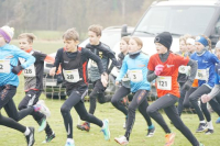 OA Cross