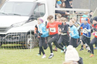 OA Cross