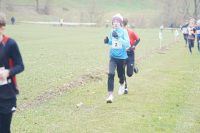 OA Cross