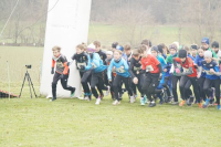 OA Cross