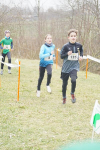 OA Cross