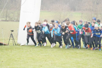OA Cross