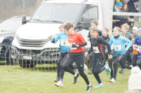 OA Cross