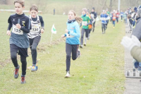 OA Cross