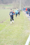 OA Cross