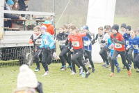 OA Cross