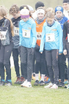 OA Cross