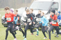 OA Cross