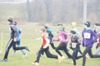 OA Cross