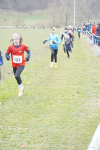 OA Cross