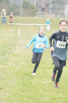 OA Cross