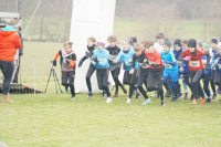 OA Cross