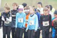 OA Cross