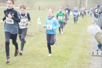 OA Cross