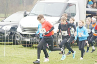 OA Cross