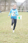 OA Cross