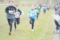 OA Cross